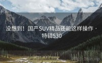 没想到！国产SUV精品还能这样操作 · 特辑530