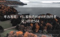 考古发现：YSL蜜桃色WWW的独特意义 · 历史568